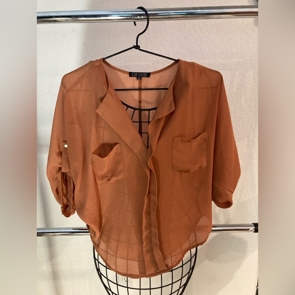 Brown Sheer Blouse